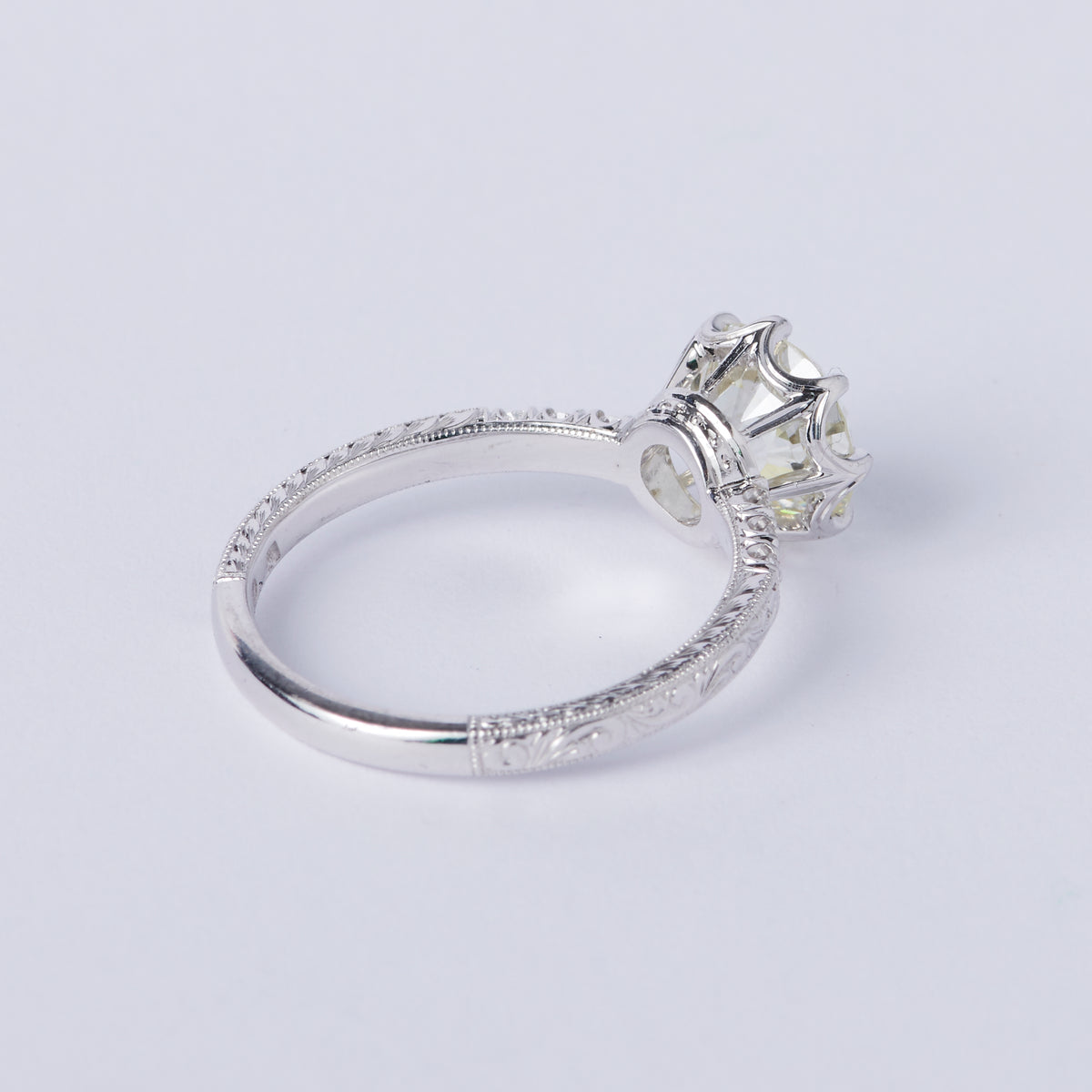 Fraser Ring