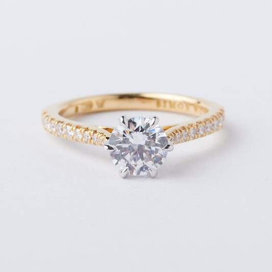 Treasury Ring