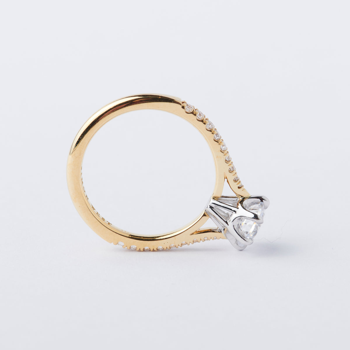 Treasury Ring